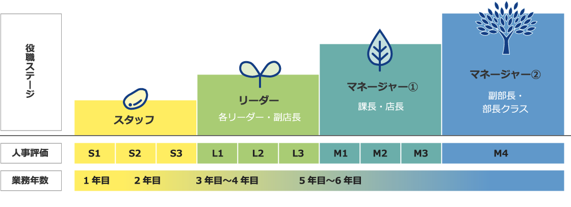 キャリアアップイメージ